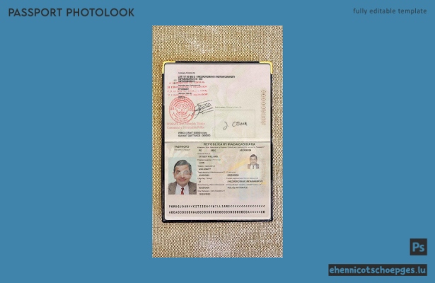 Beispielansicht für ein Passfoto aus Madagaskar
